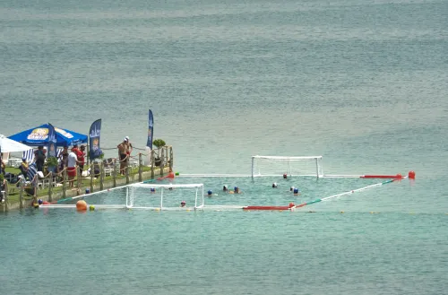 Openwater field with shark and jellyfish fence